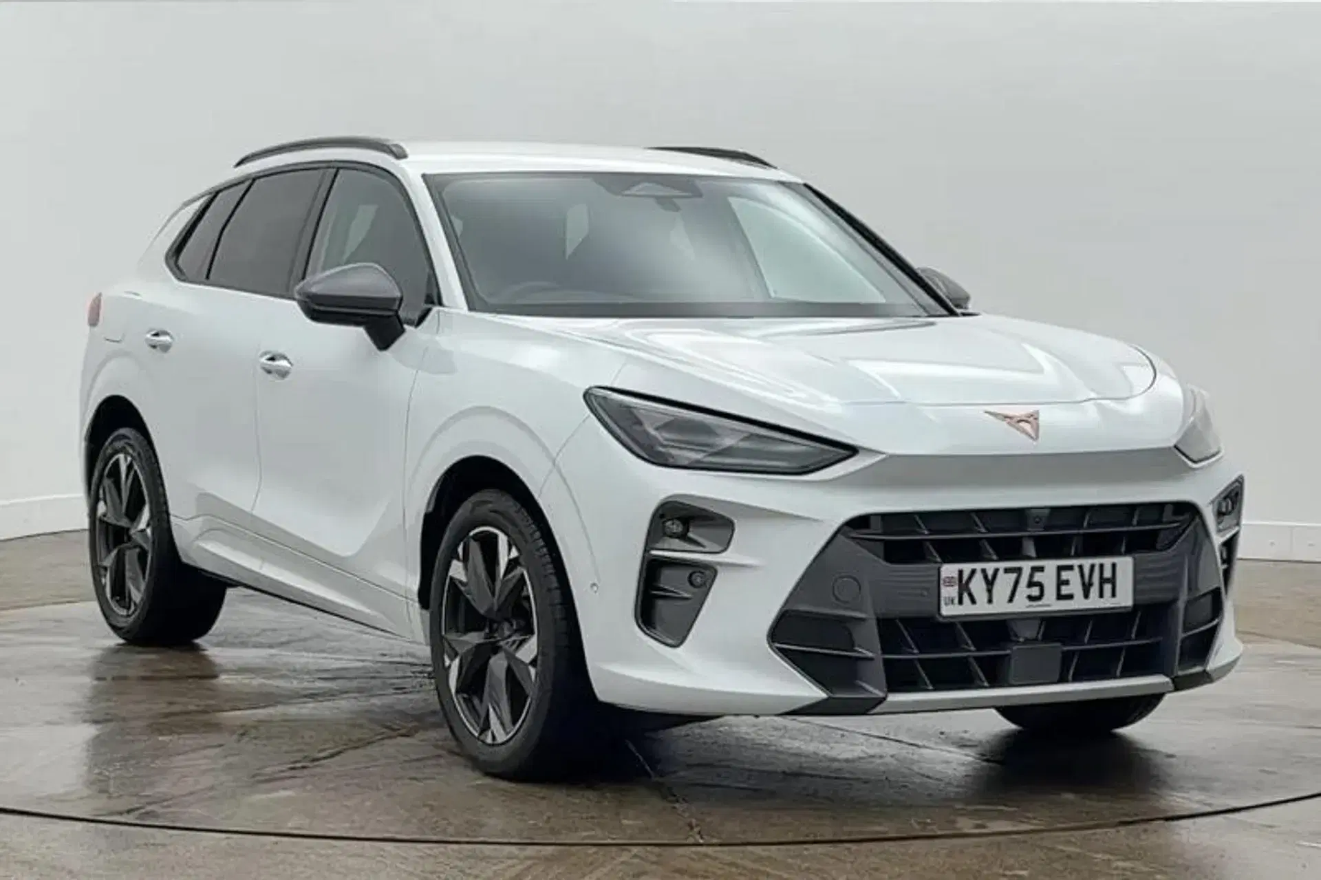 Cupra Terramar 1.5 eTSI 150 V2 5dr DSG thumbnail