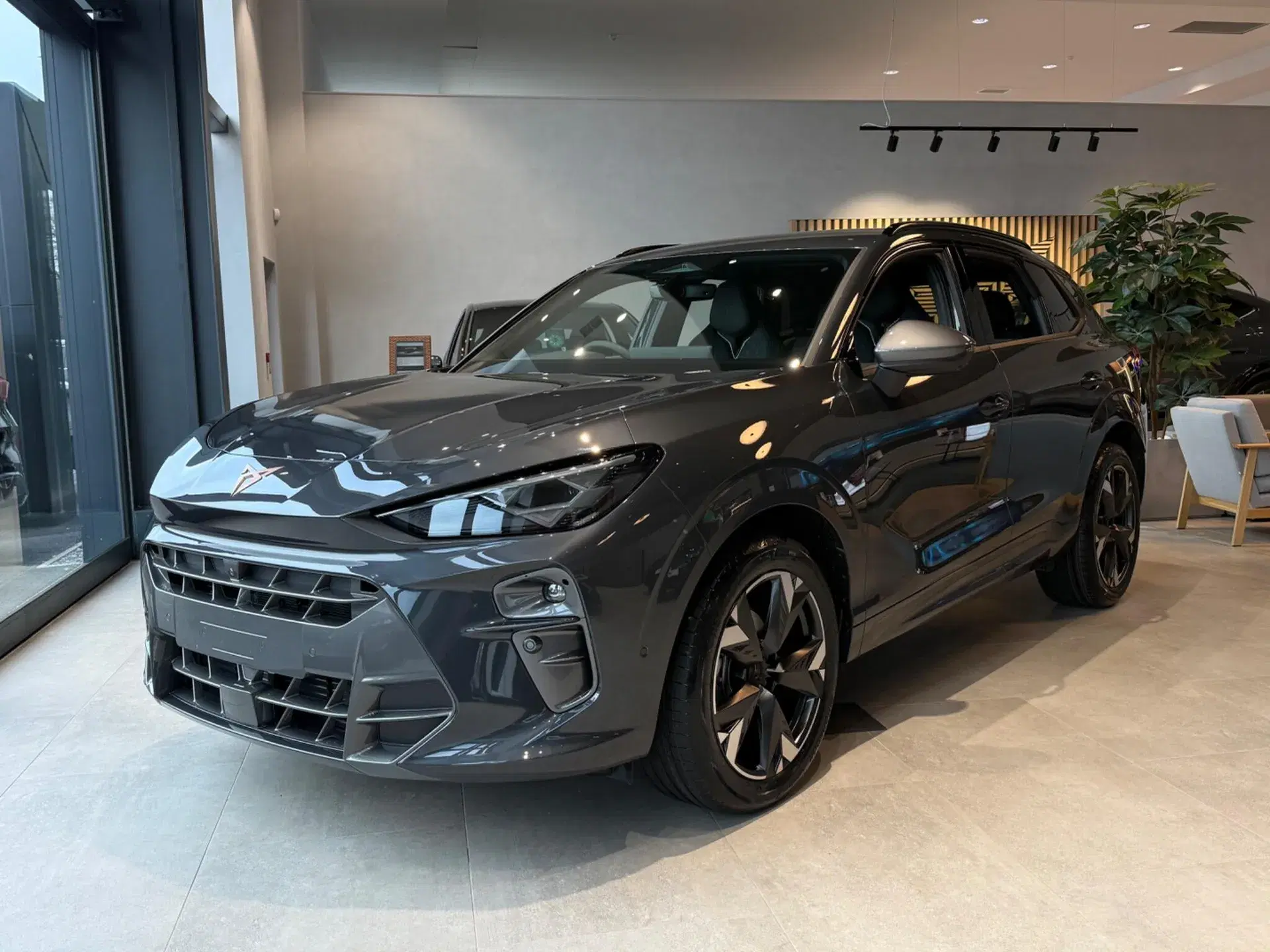 Cupra Terramar 1.5 eTSI 150 V2 5dr DSG thumbnail