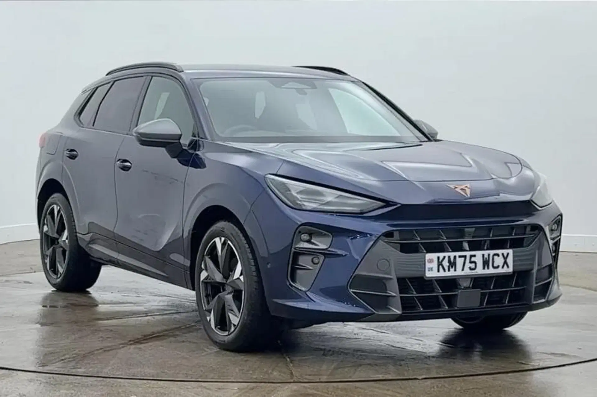 Cupra Terramar 1.5 eTSI 150 V2 5dr DSG thumbnail