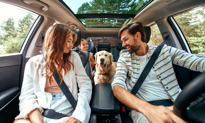 Driving abroad on family holidays image