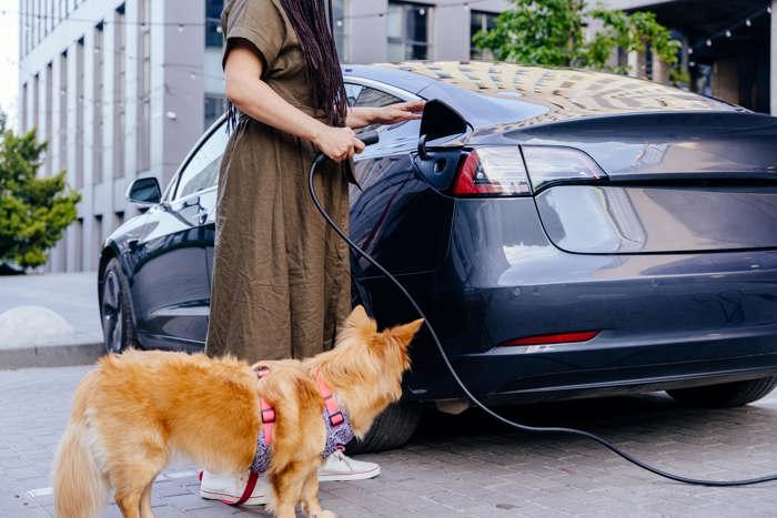 Should I Get an Electric Family Car? A Comprehensive Guide image